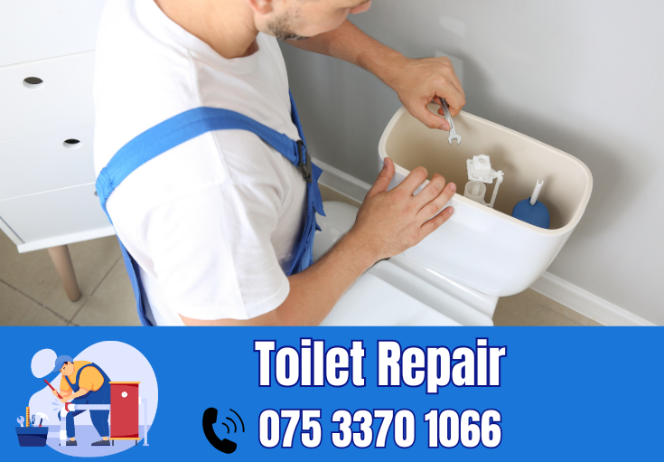 toilet repair Hoo